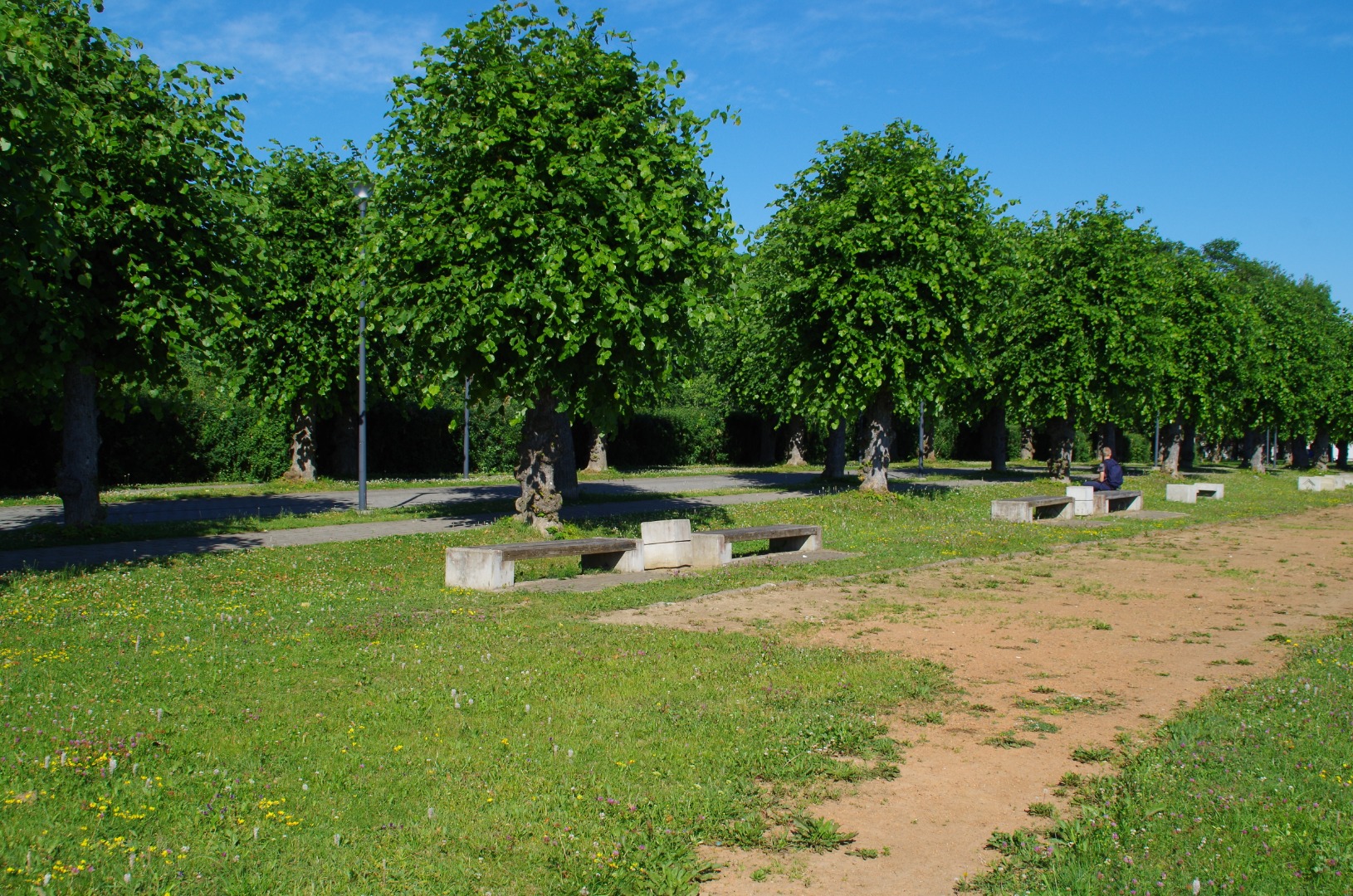 Rakvere Õpetajate Seminari staadionil rephoto