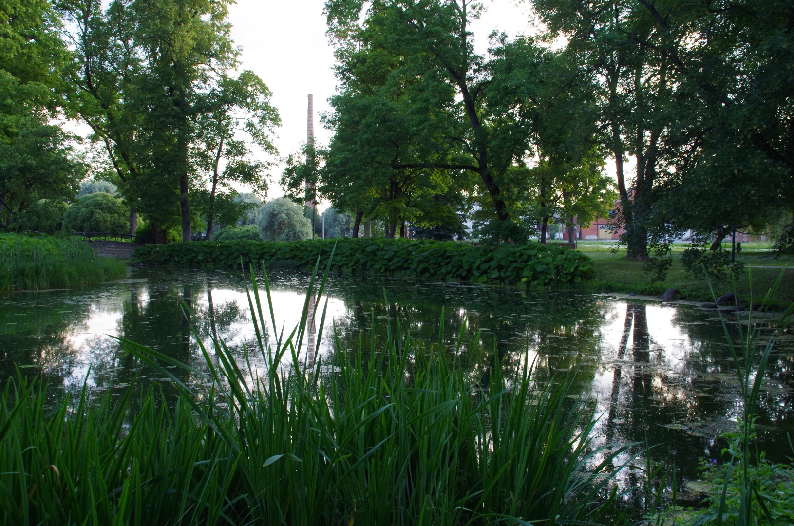 Rakvere - rahvamaja aed, esiplaanil järv. rephoto