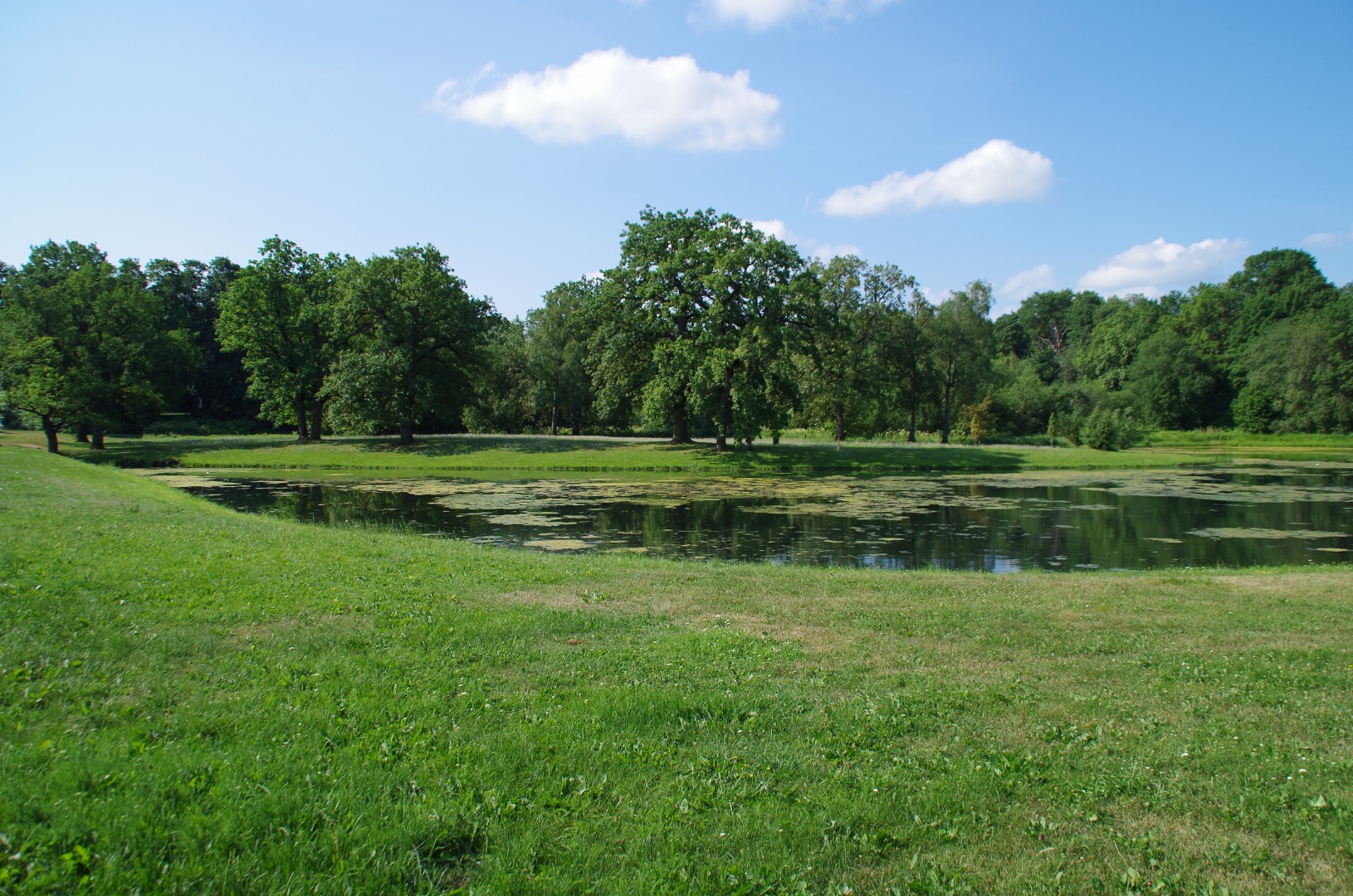 Kunstnik Anne Kokkovi maastikukunsti üritus Rakveres rephoto
