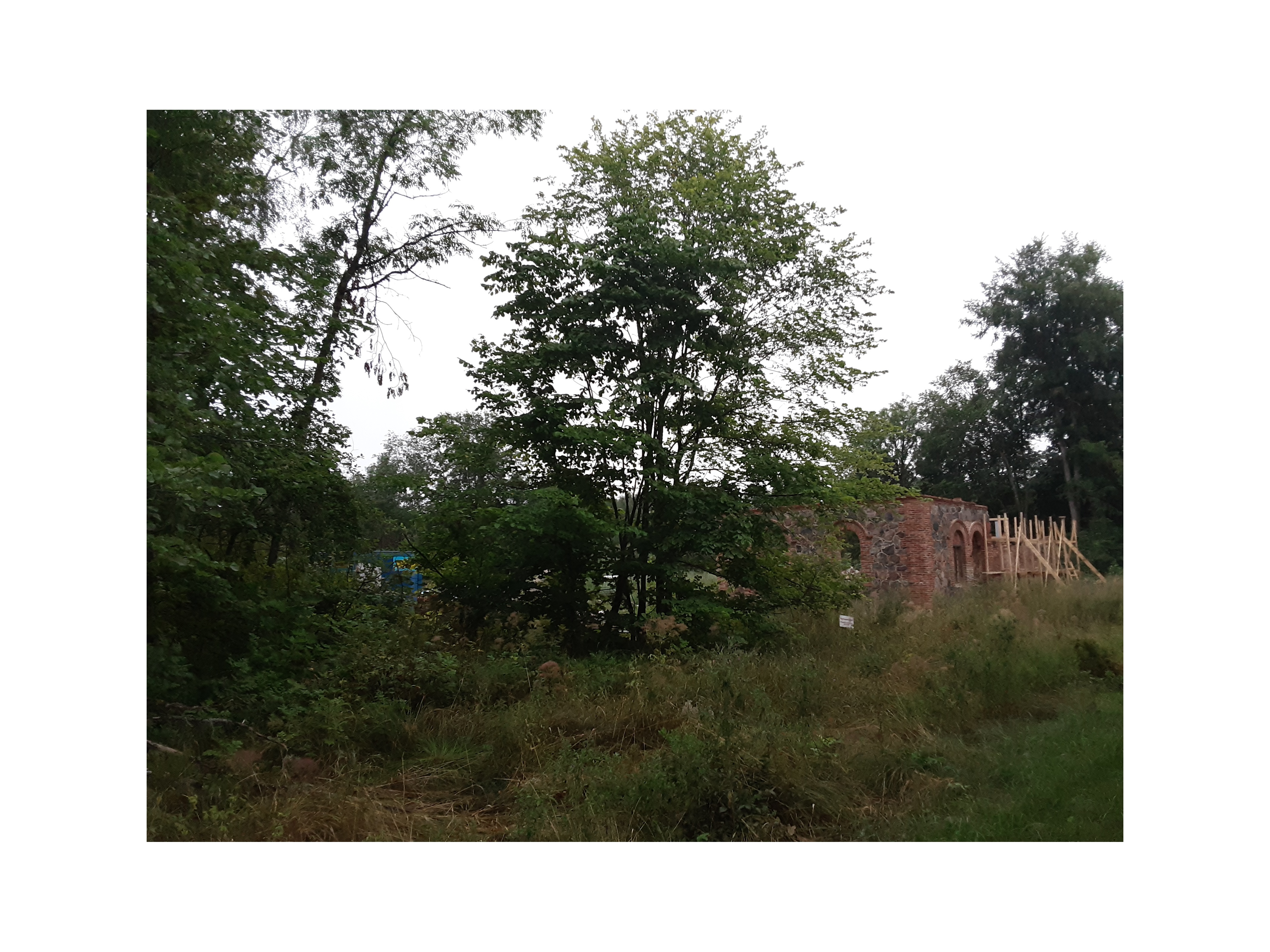 Photo Rivila Manor's cattle board rephoto