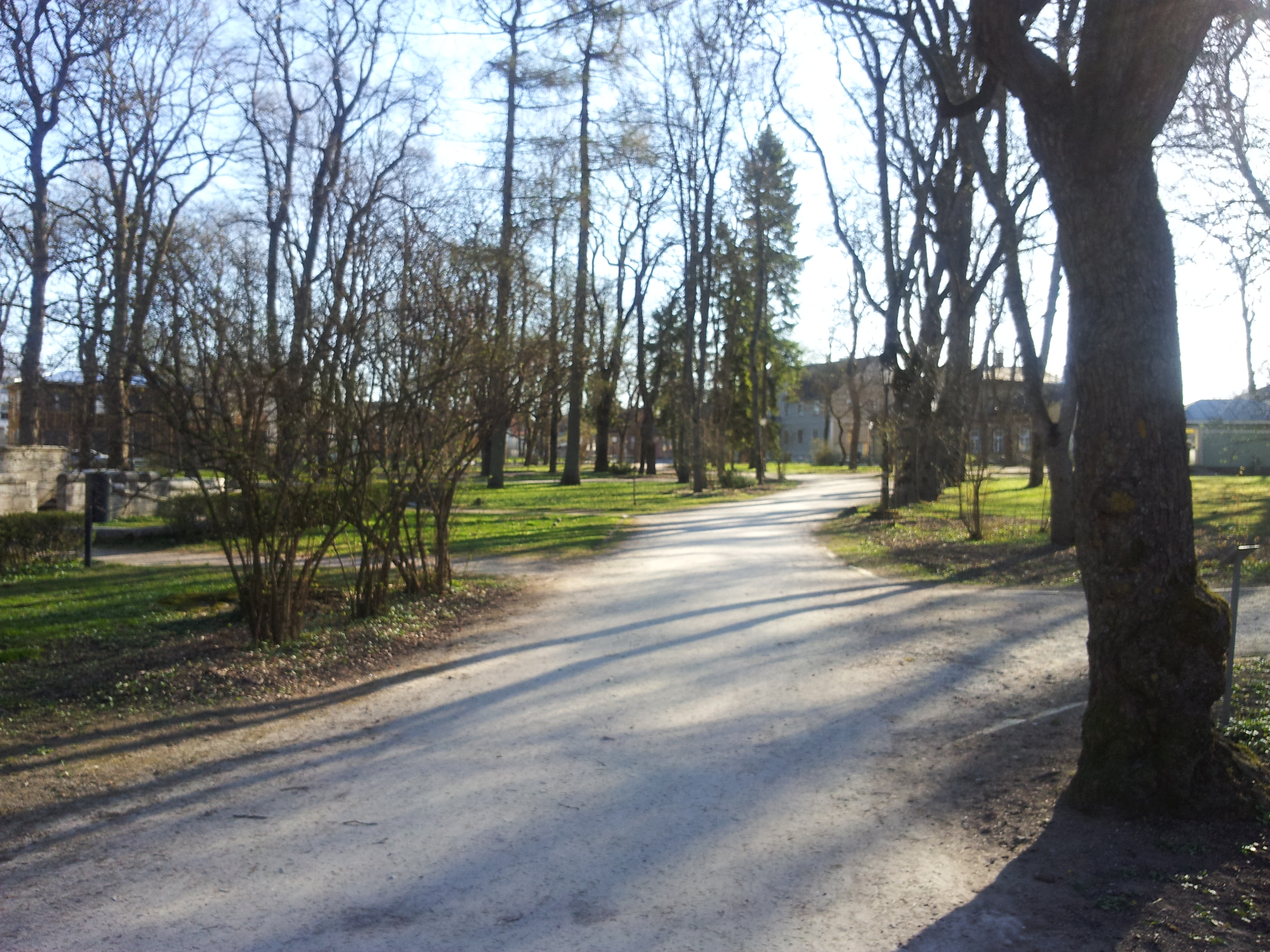 Kuressaare park rephoto