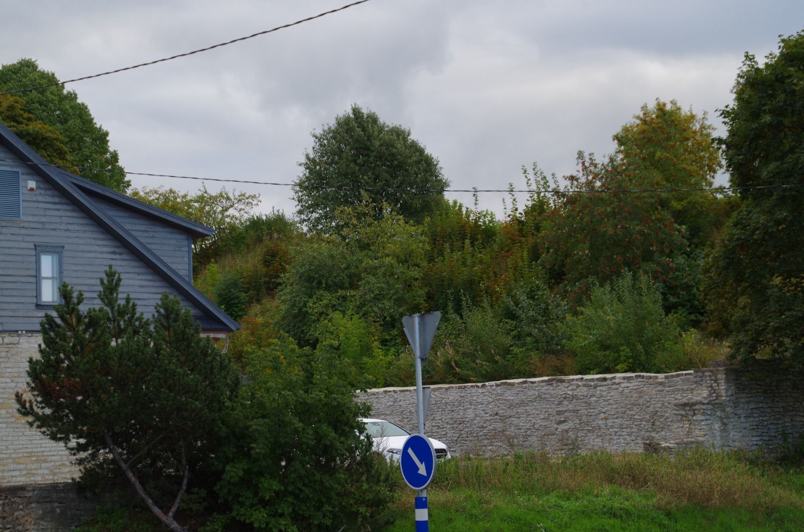 Sumo MM reklaamsilt Vallimäe all Kreutzwaldi tänava ääres rephoto