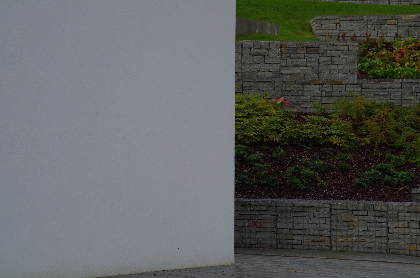 Rakvere Pioneerimaja noorte laulu- ja tantsuansambel rephoto