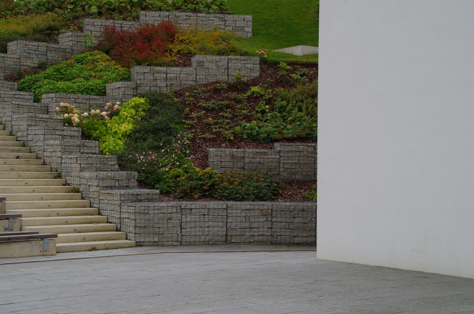 Rakvere Pioneerimaja noorte laulu- ja tantsuansambel rephoto