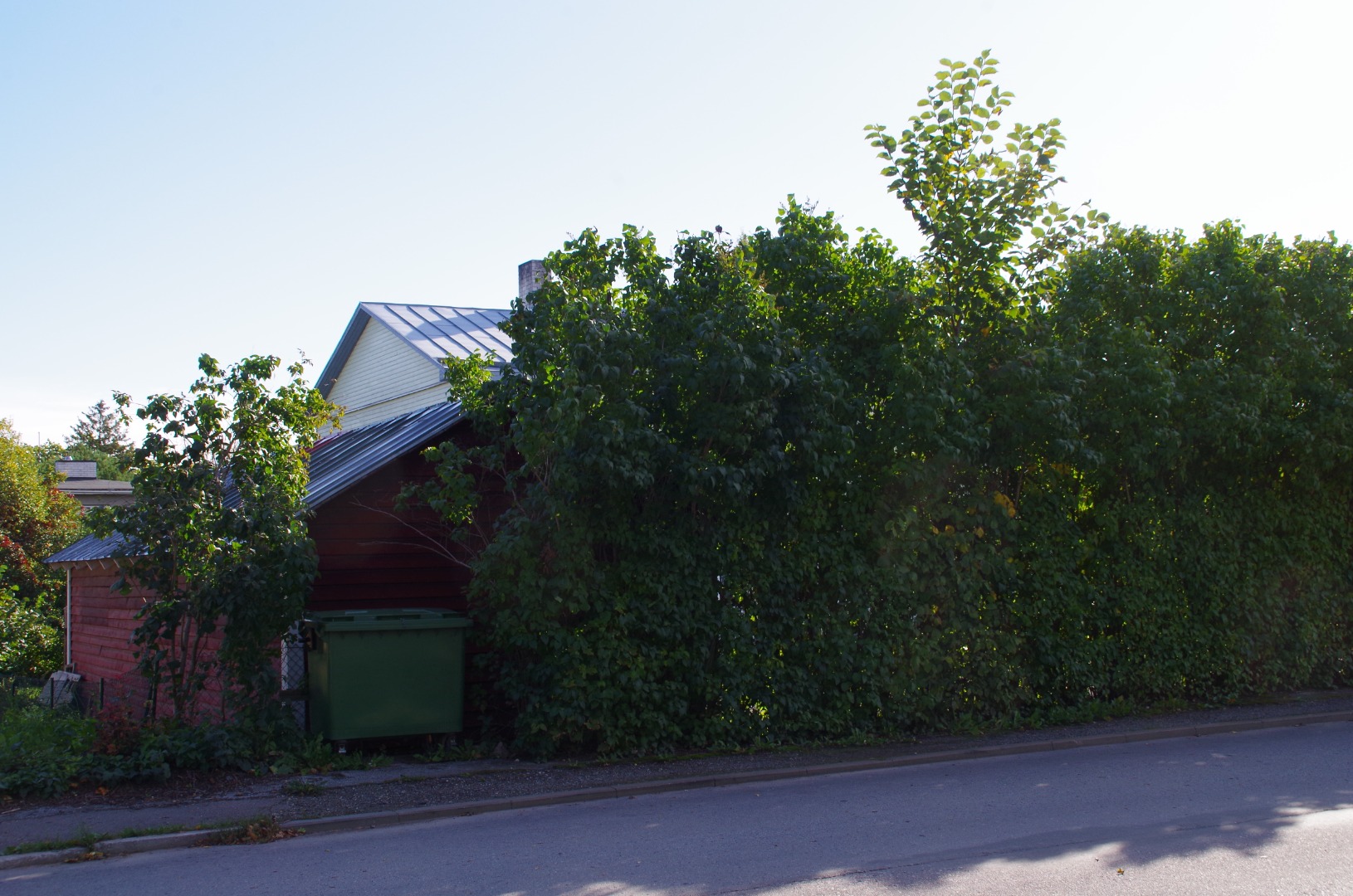 Rakvere Aia tänav rephoto