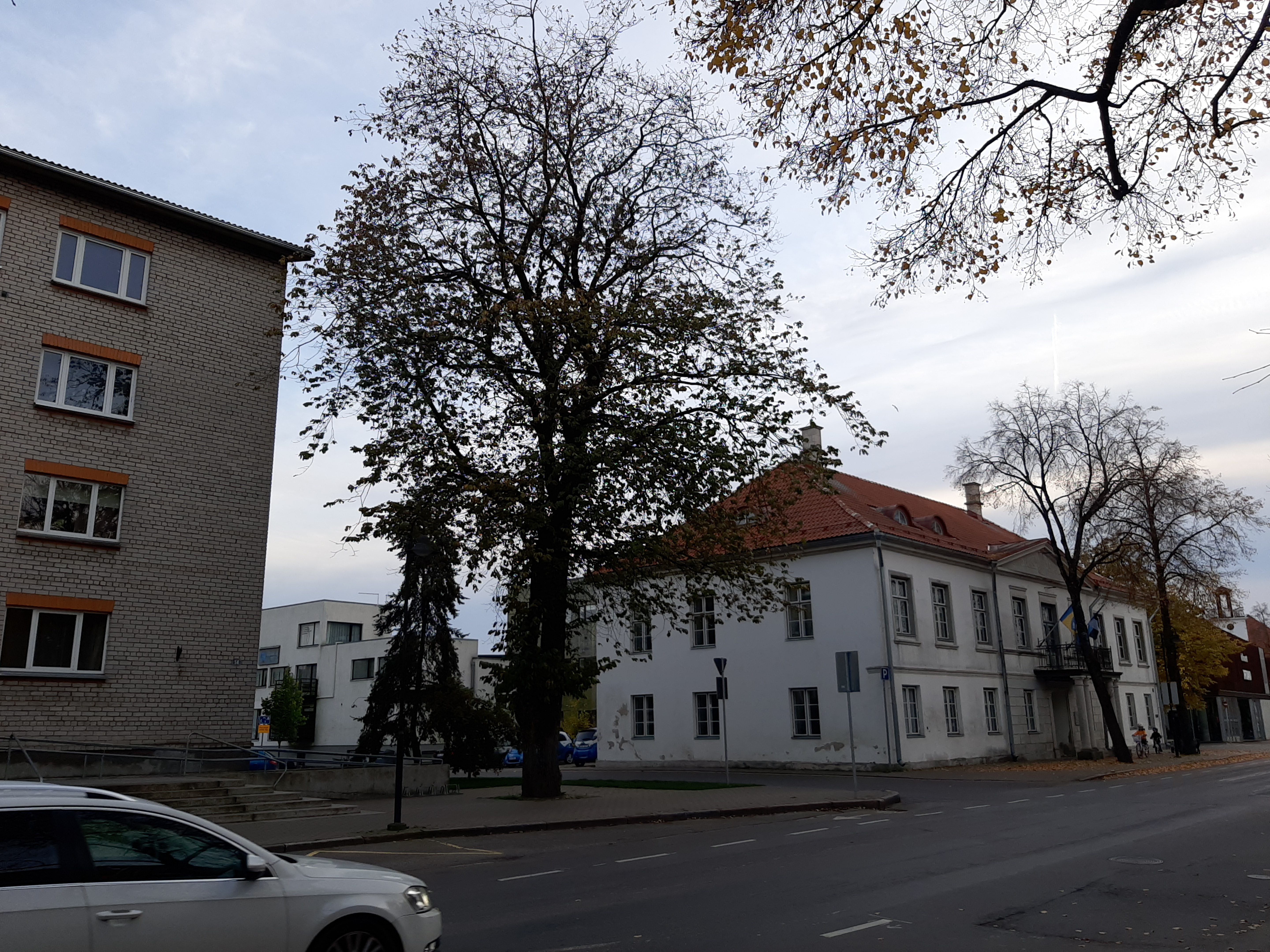 Tallinna tänava vaade kesklinna suunas rephoto