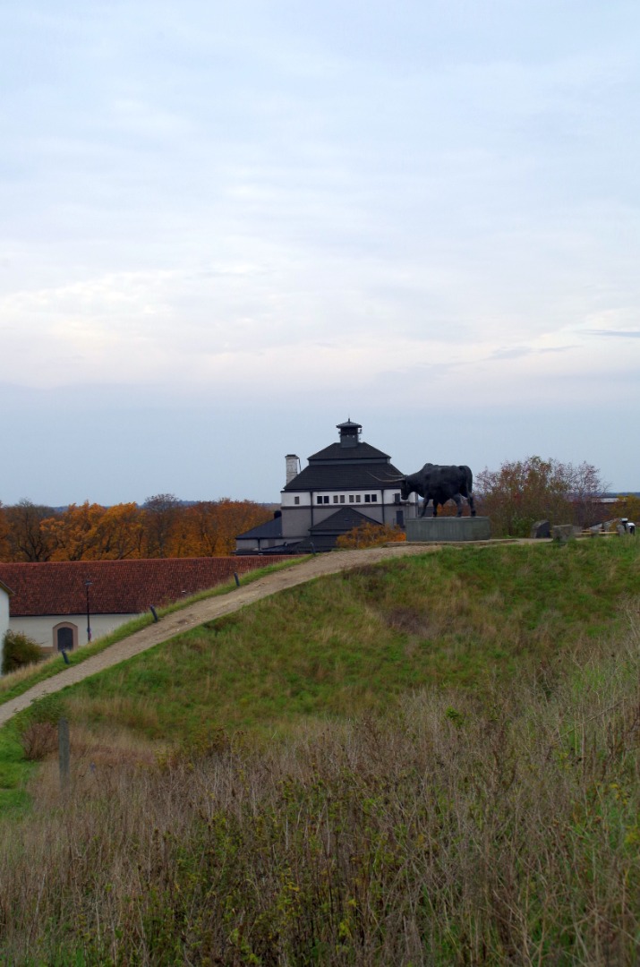 Rakvere, Tarva paigaldamine rephoto