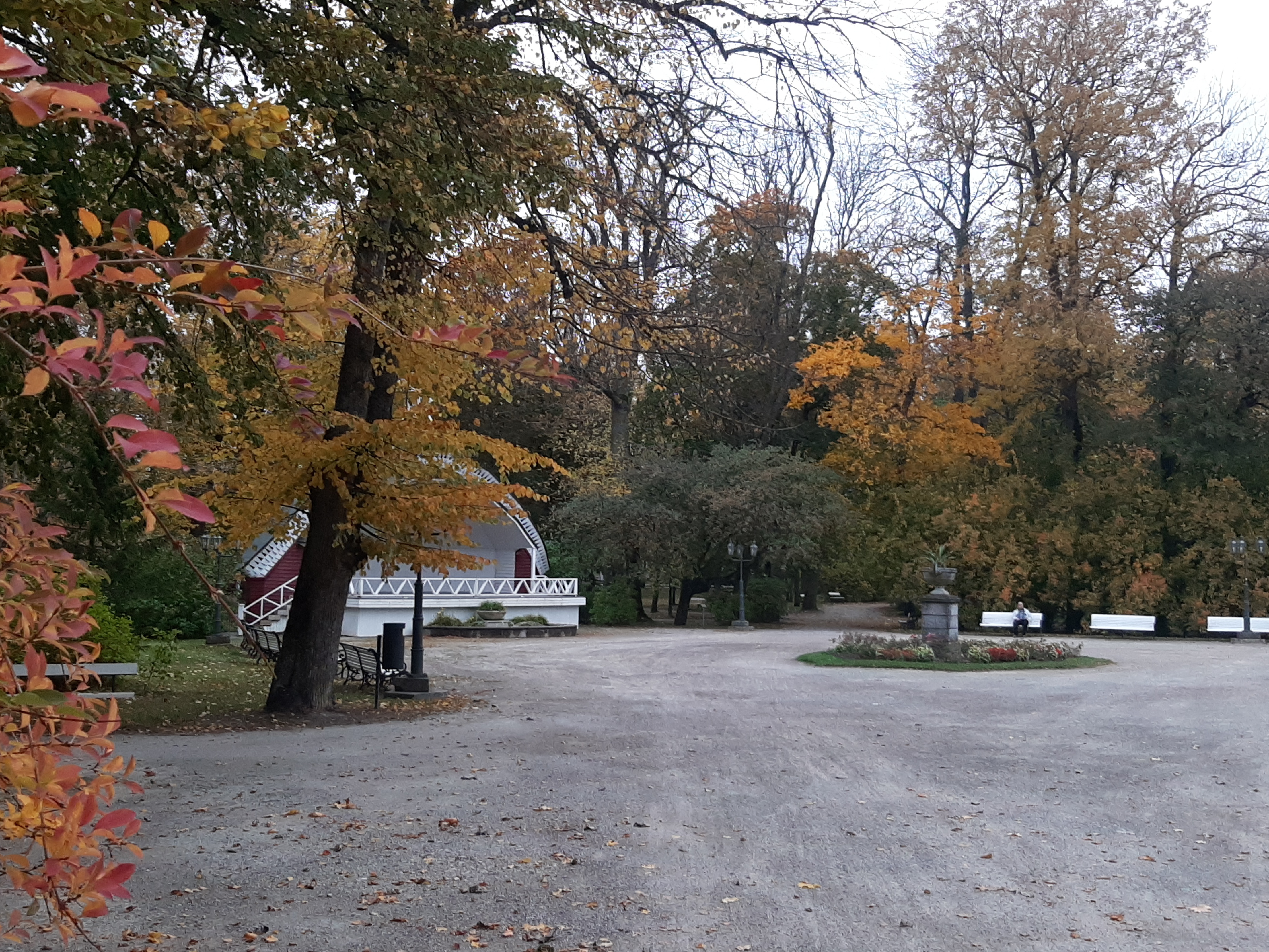 Park, vaade kohvik "Tivoli" sammaste vahelt platsile suvitajatega rephoto