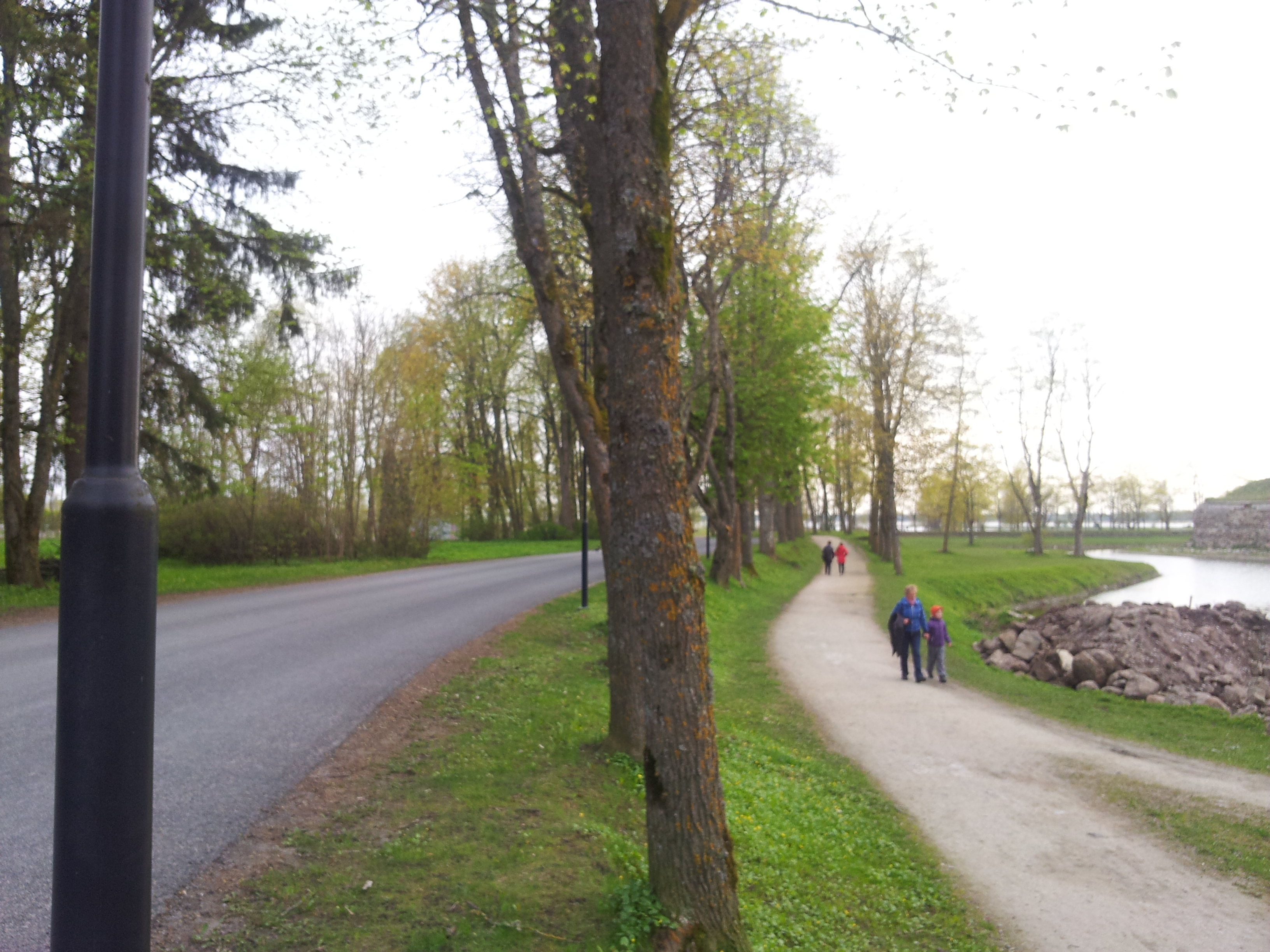 Vaade puiesteele - tee mudaravila "Roomassaar" juurde. rephoto