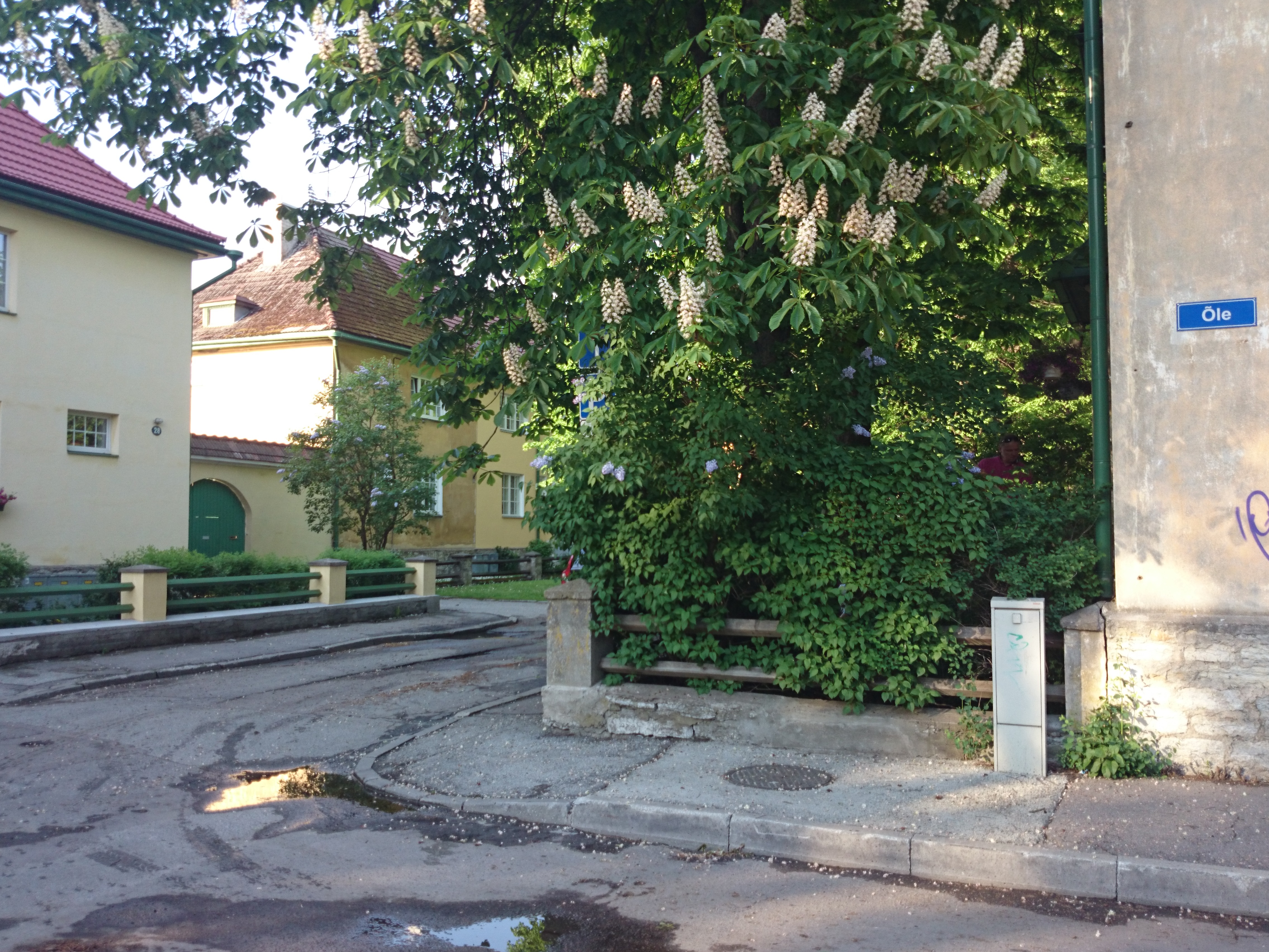 Tallinn, Kolde tänav. rephoto