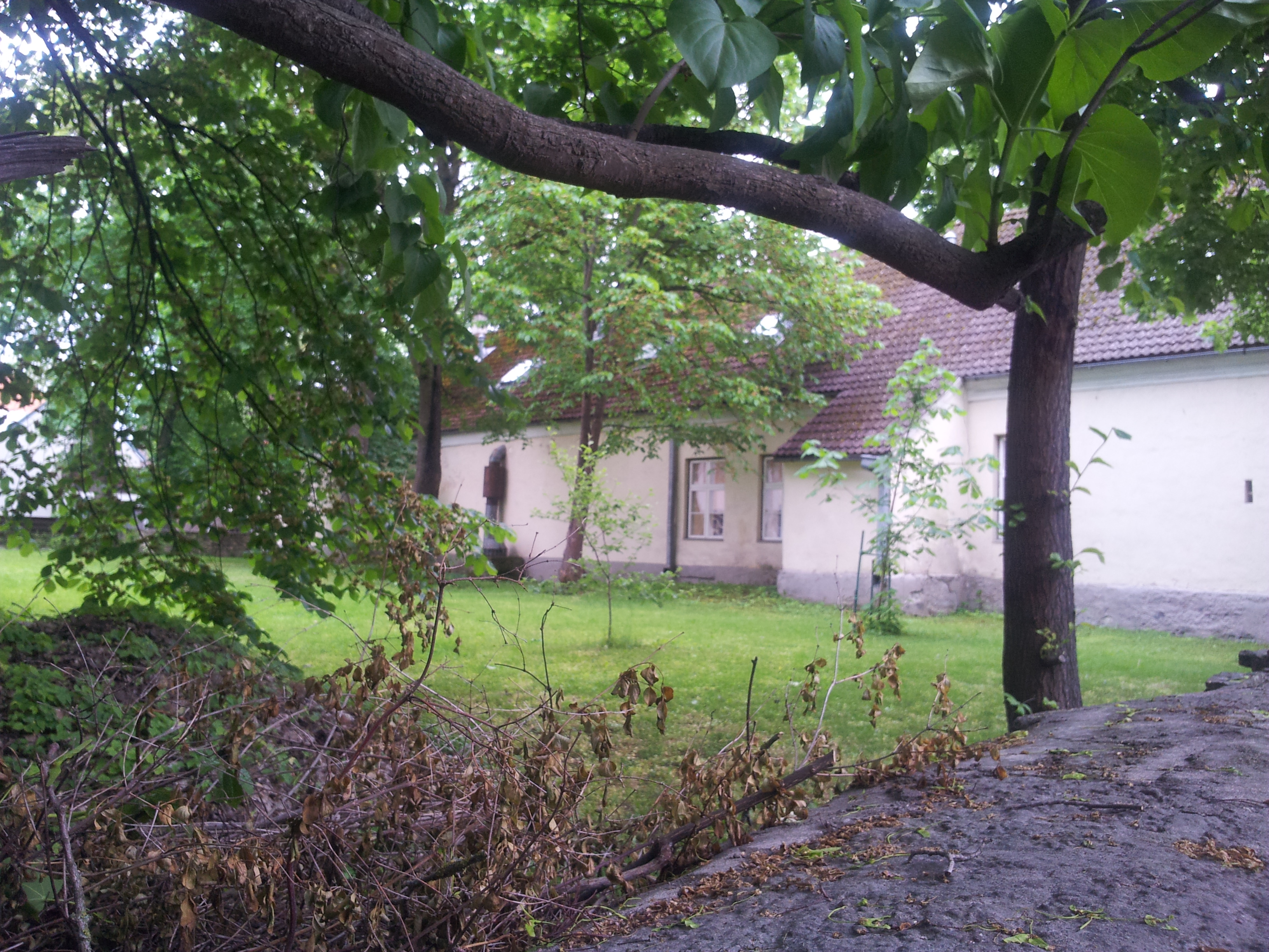 Suvila [Maaci aias] rephoto