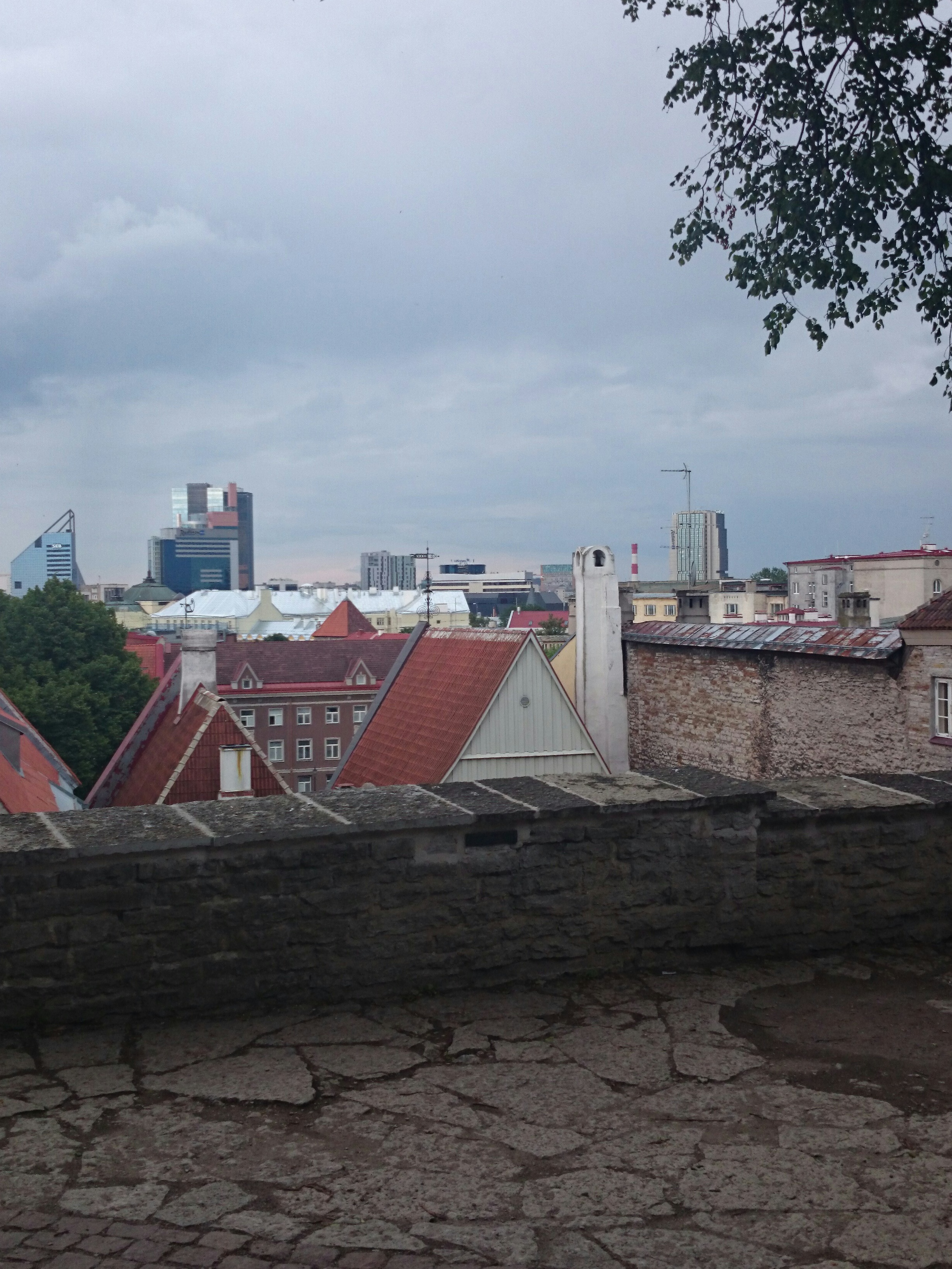 Tallinn, Limani aed talvel, vaade linnale. rephoto