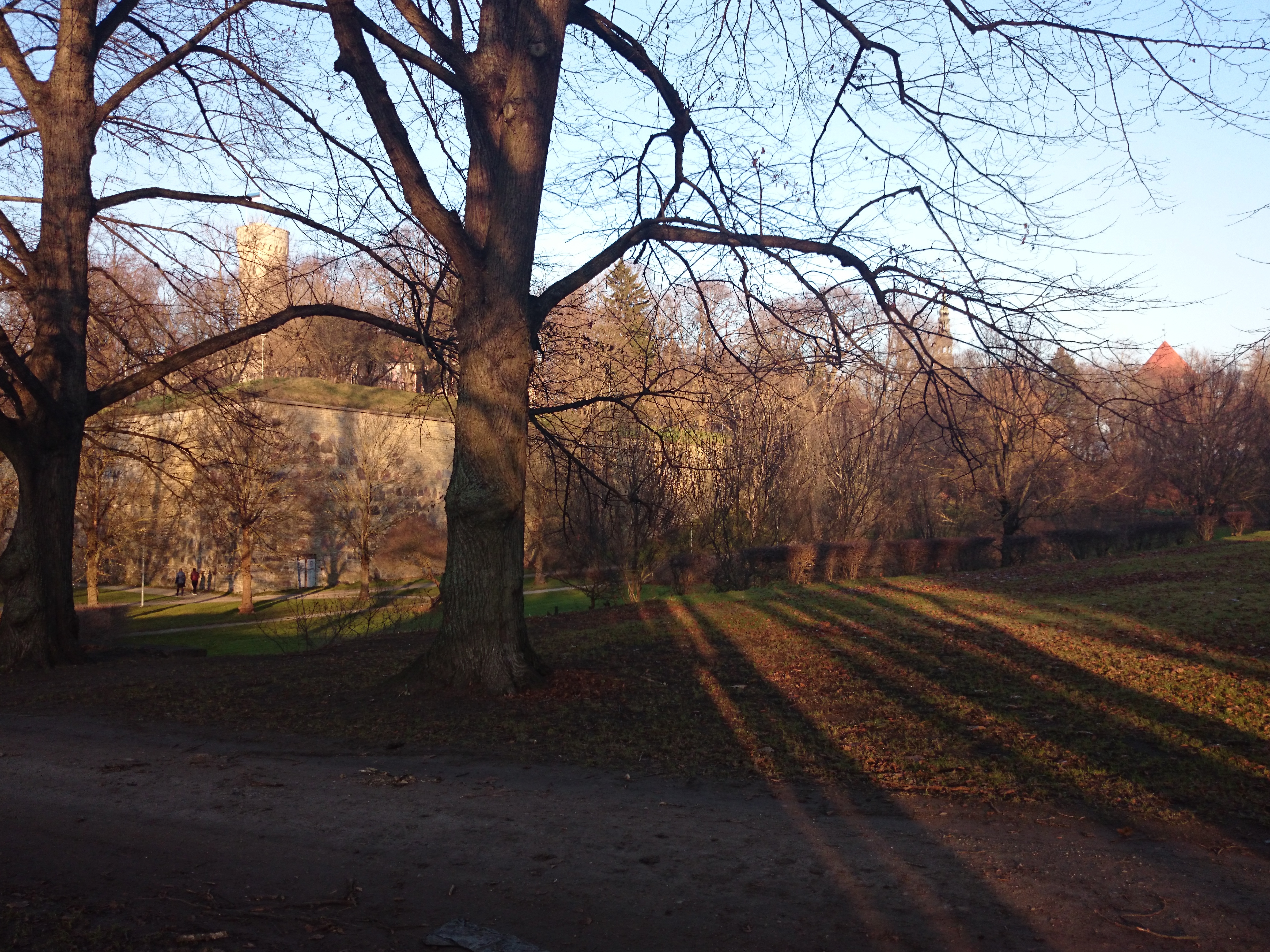 Tallinn, vaade Toompeale ja Rootsi kantsile edelast. rephoto
