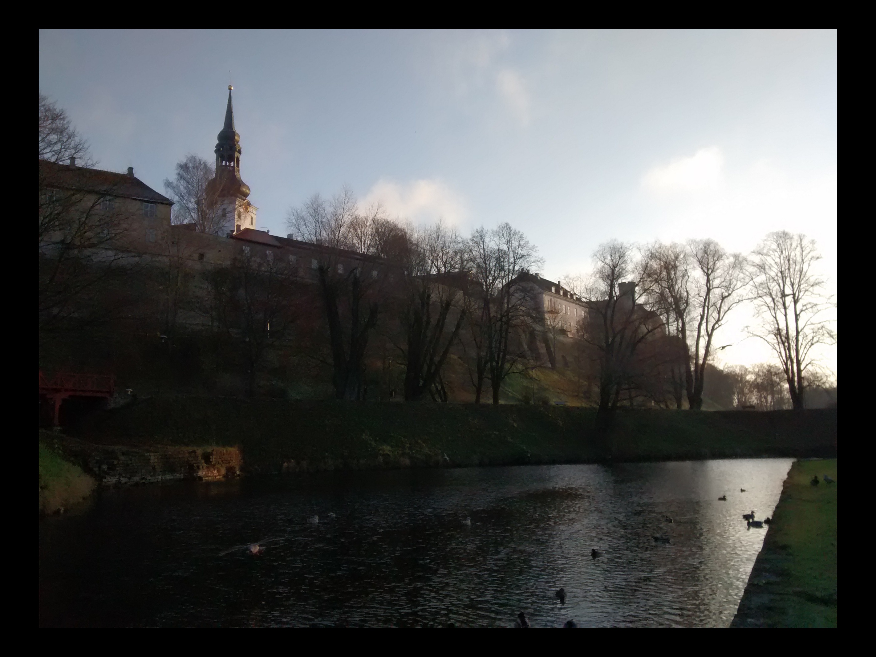 Vaade Toompeale ja Šnelli tiigile Balti jaama poolt. Tagaplaanil Toomkiriku torn. rephoto
