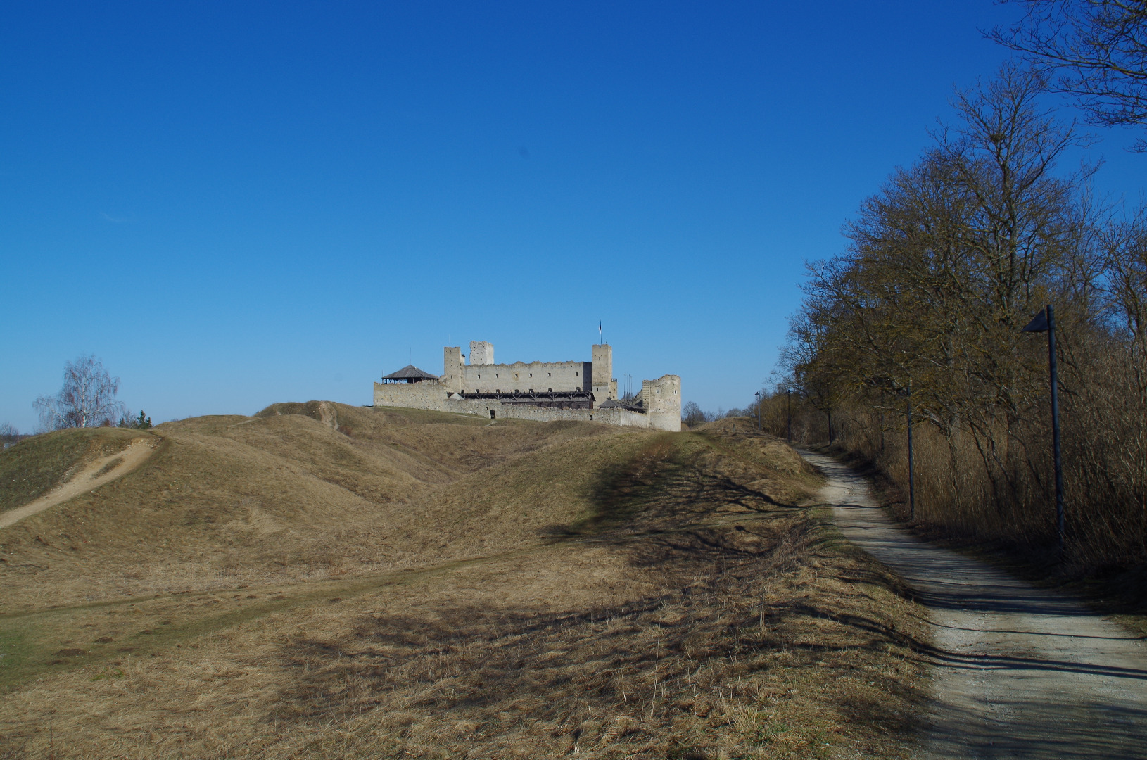 Lossivaremed, Rakvere rephoto