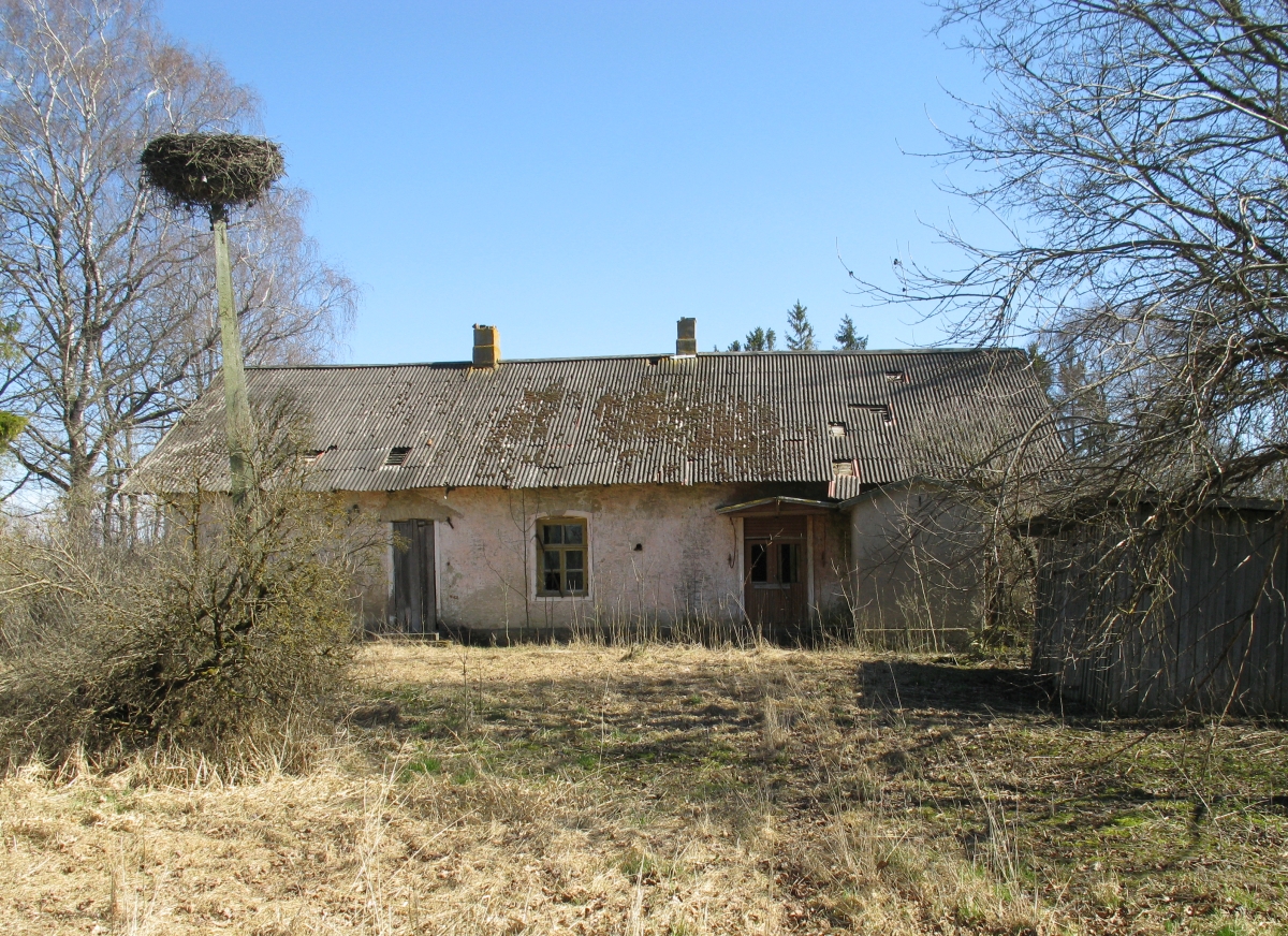 Photo, Koordi store 1984. rephoto