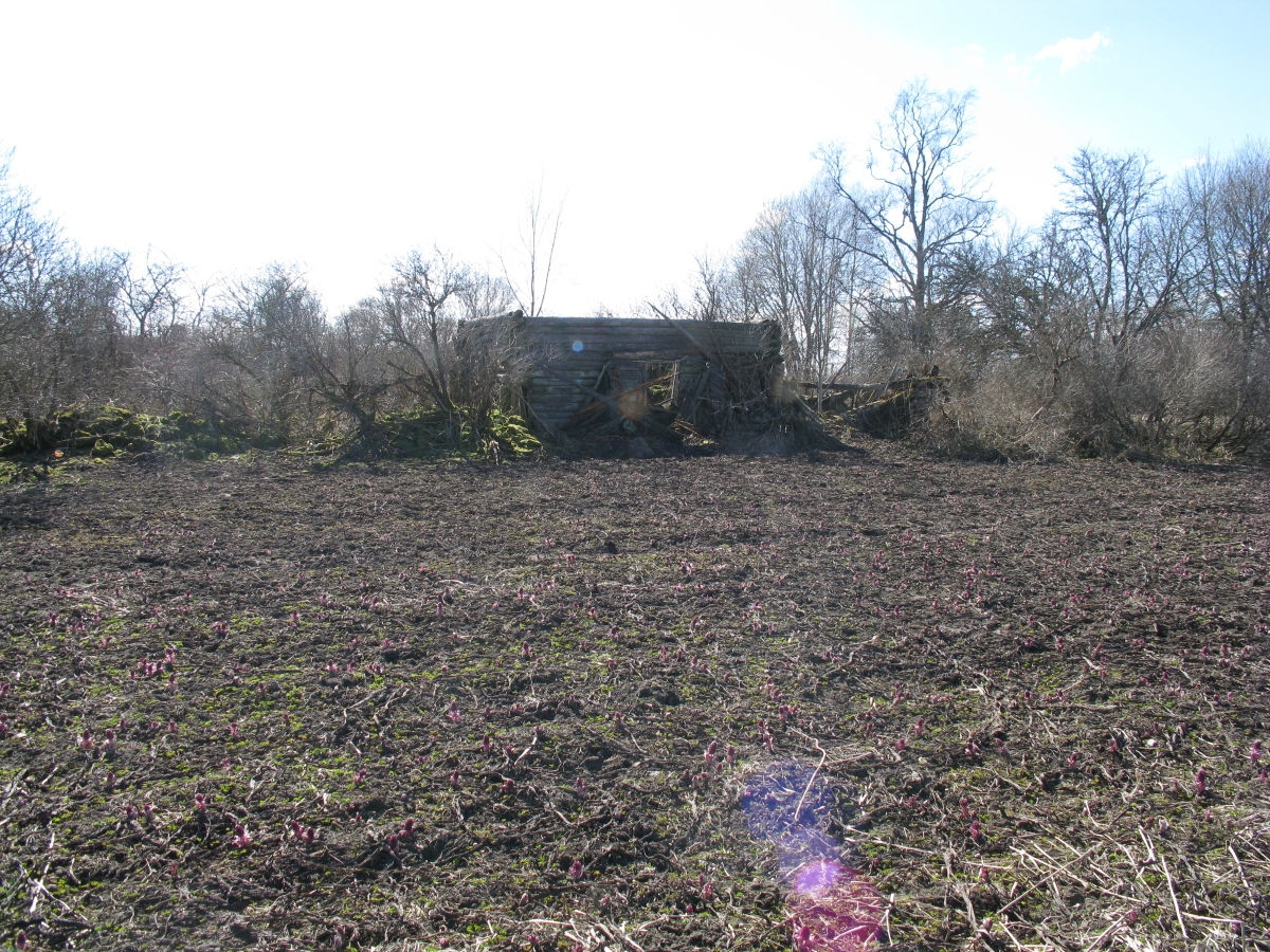 foto, Pärdi talu rehielamu 1962.a. rephoto