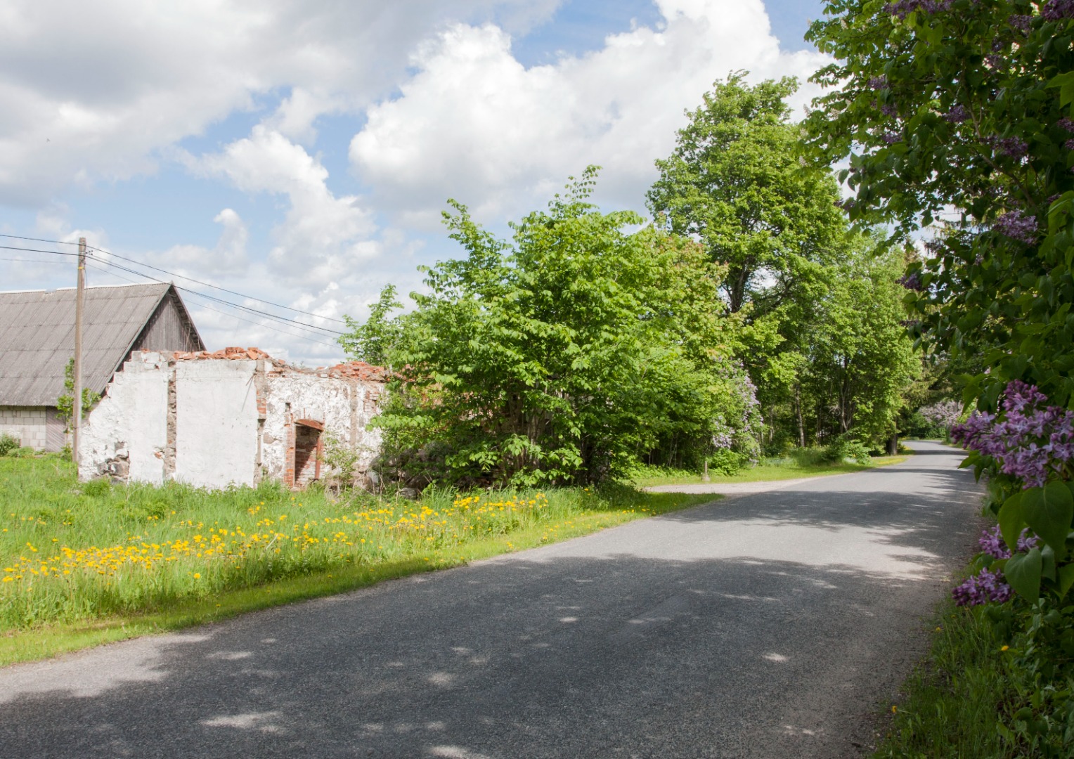 Villevere Oakers rephoto