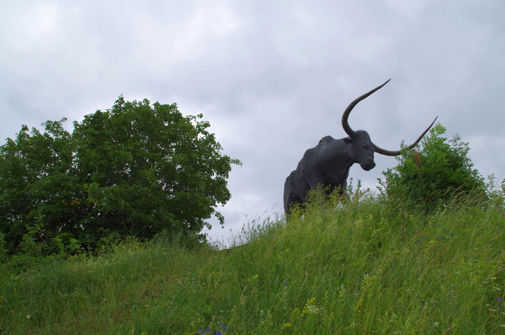 Rakvere-4748 - Flickr - Ragnhild & Neil Crawford - Rakvere-4748 rephoto