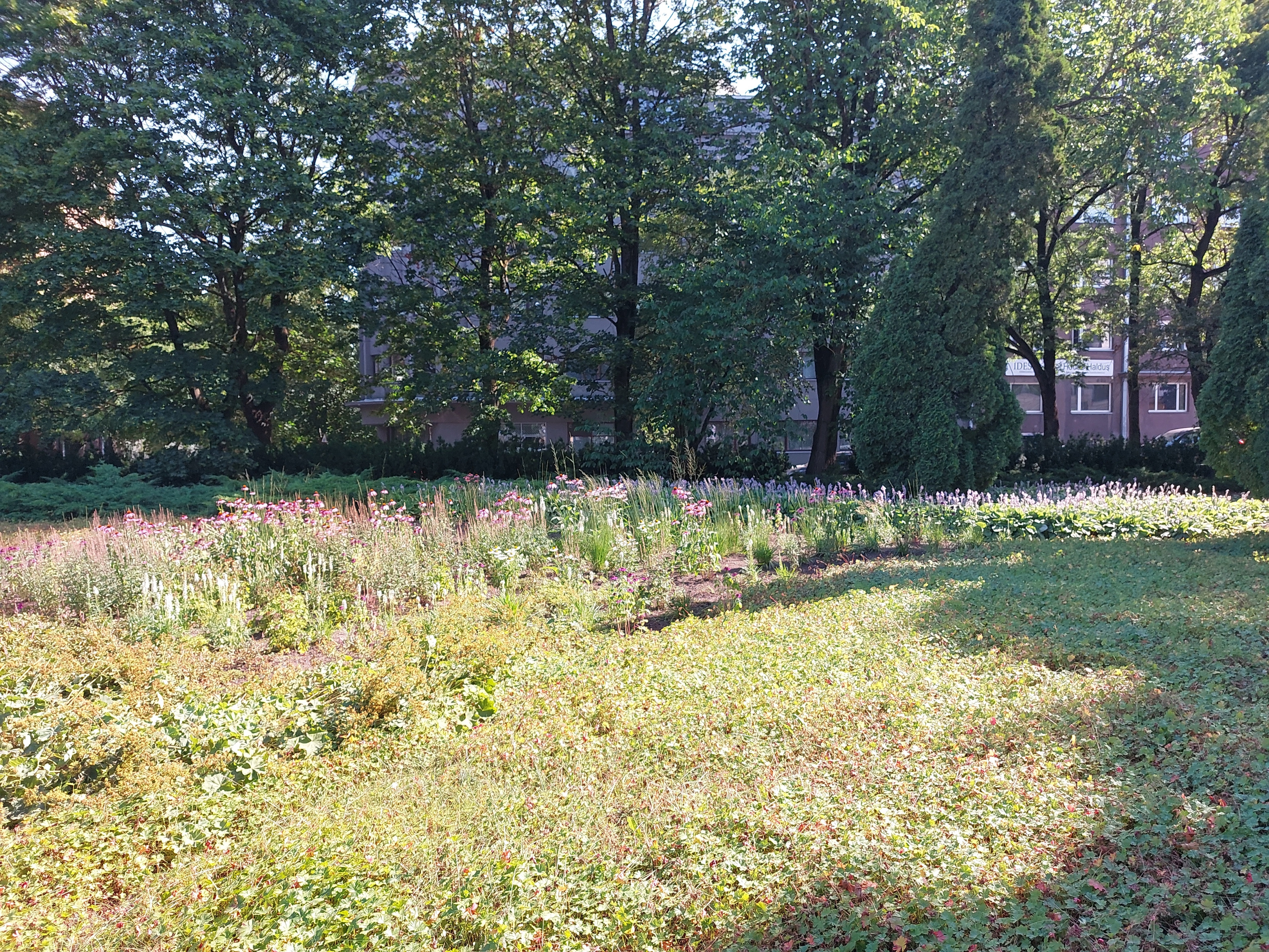 Tallinna Vabastajate monument ja "igavene tuli" Tõnismäel. Sõjaveteranid ja rahvas on kogunenud monumendi juurde, mille jalamile on asetatud pärjad langenud sõjaväelaste mälestuseks. rephoto