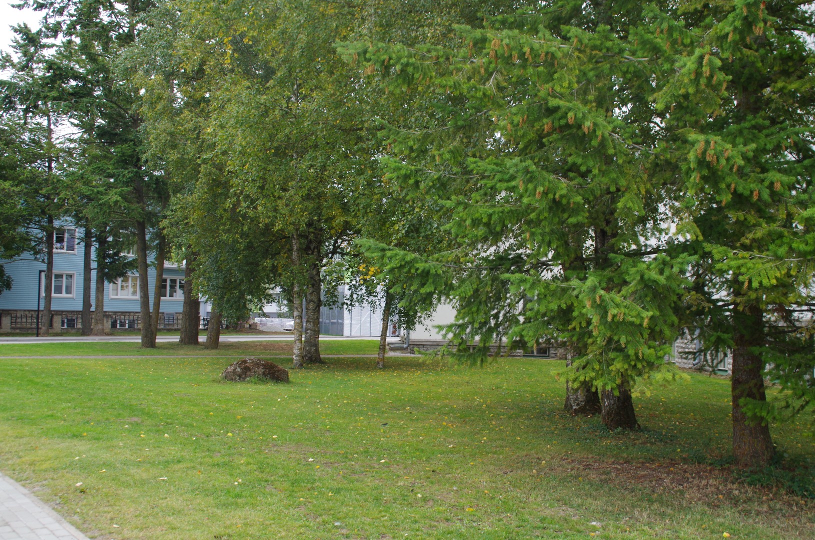 Rakvere I Keskkooli 75. aastapäeva tähistamine rephoto