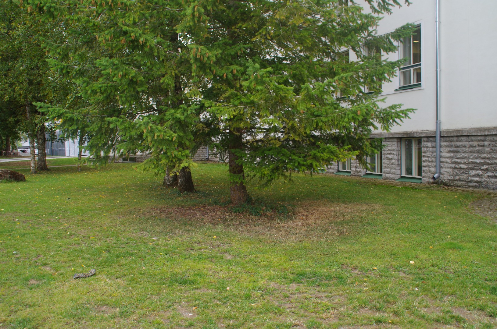 Rakvere I Keskkooli 75. aastapäeva tähistamine rephoto