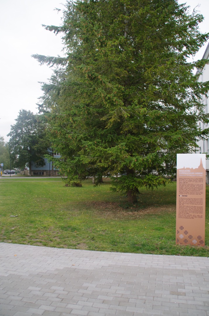 Rakvere I Keskkooli 75. aastapäeva tähistamine rephoto