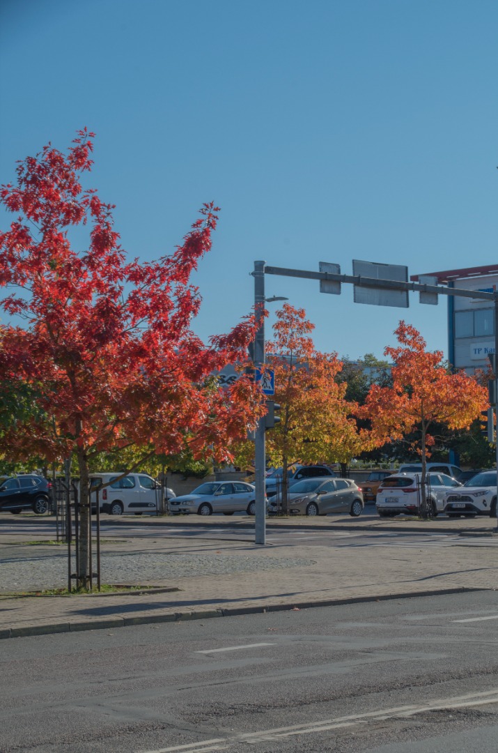 Rakvere. SSOR aastapäeva paraad Turu platsil rephoto