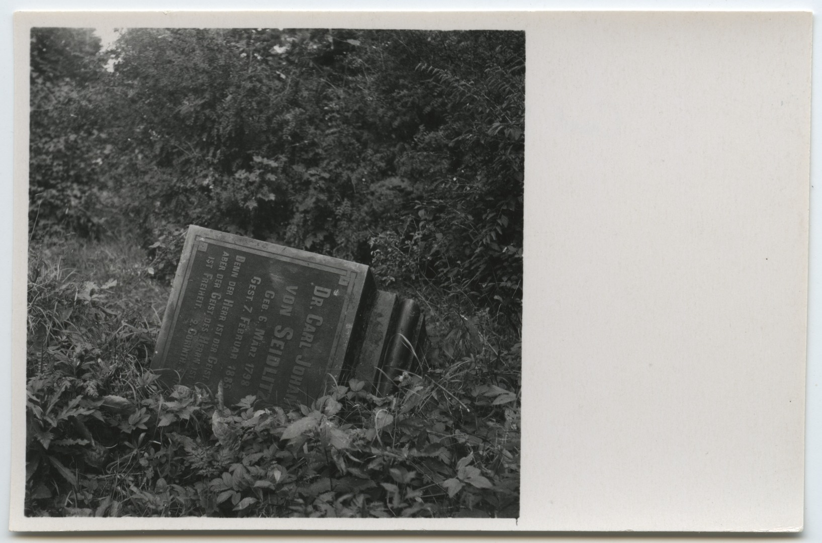 Tartu linnavaade. Carl Johann Seidlitz (1798-1885) hauaristi alus Vana-Jaani kalmistul. 1982.a. rephoto