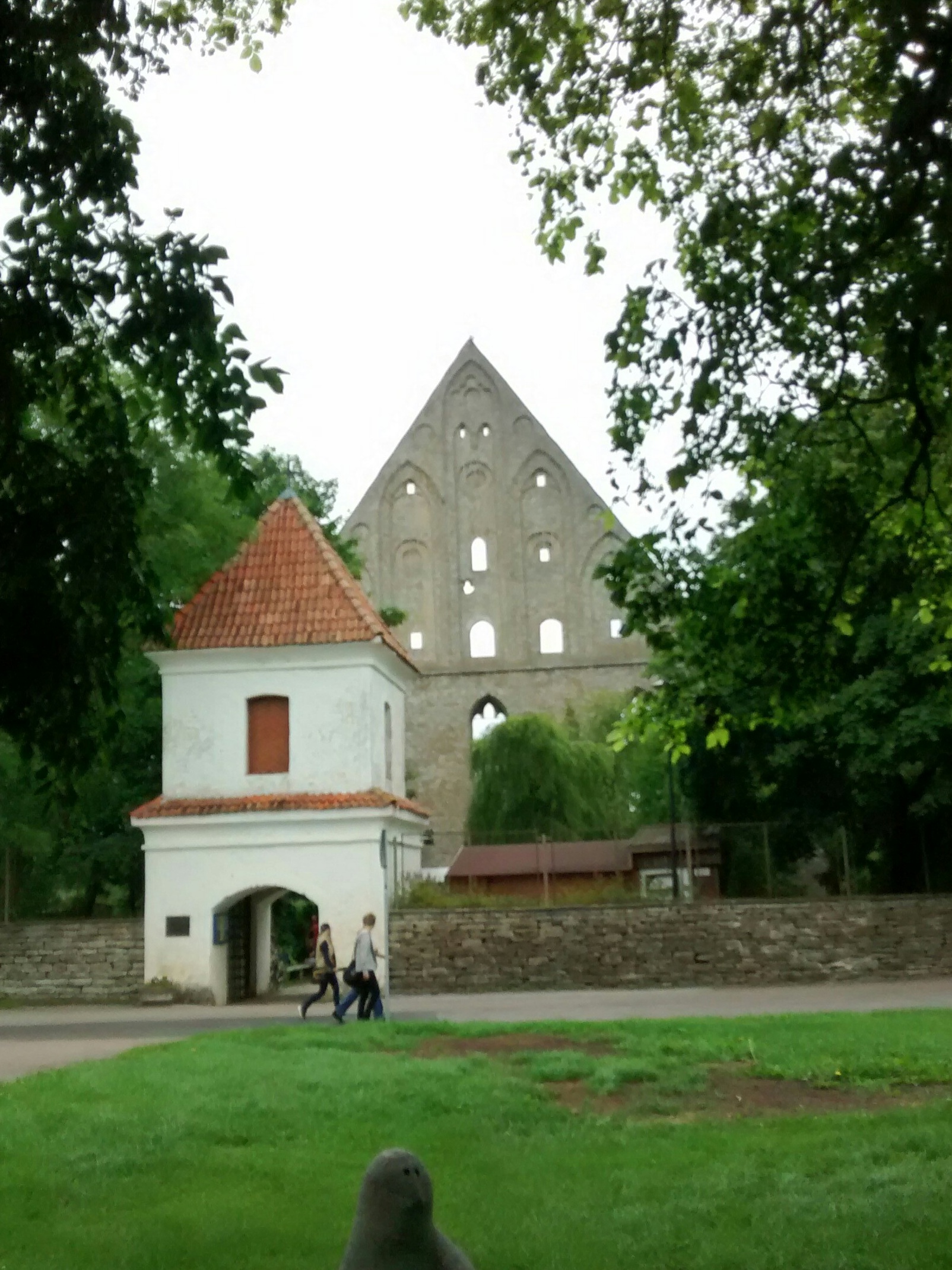 Tallinn, Pirita kloostri varemed, vaade lääne poolt. rephoto