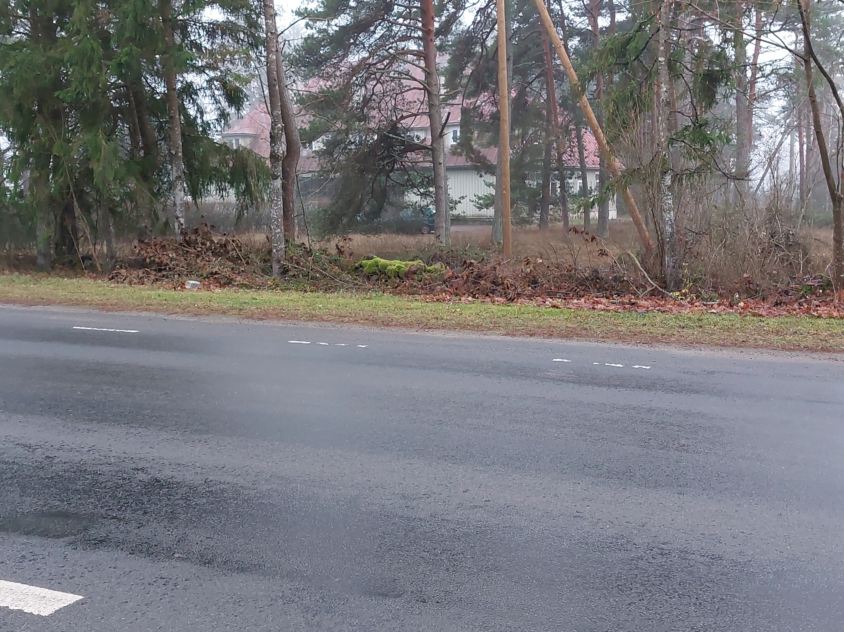 Harju-Risti school and folk house in Kloostri municipality. rephoto