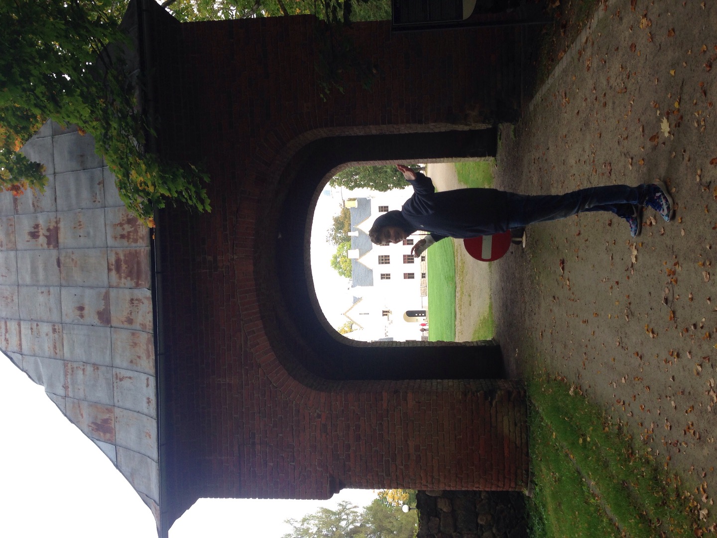Alatskivi Manor Gate and Manor Building. In front of the brickstone wall and gate. See the main building behind the gate opening. rephoto