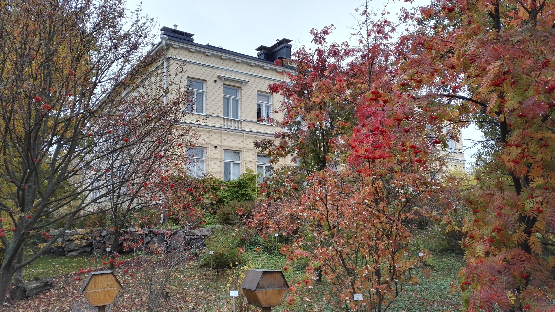 Kaisaniemi, Yliopiston kasvitieteellinen puutarha. rephoto