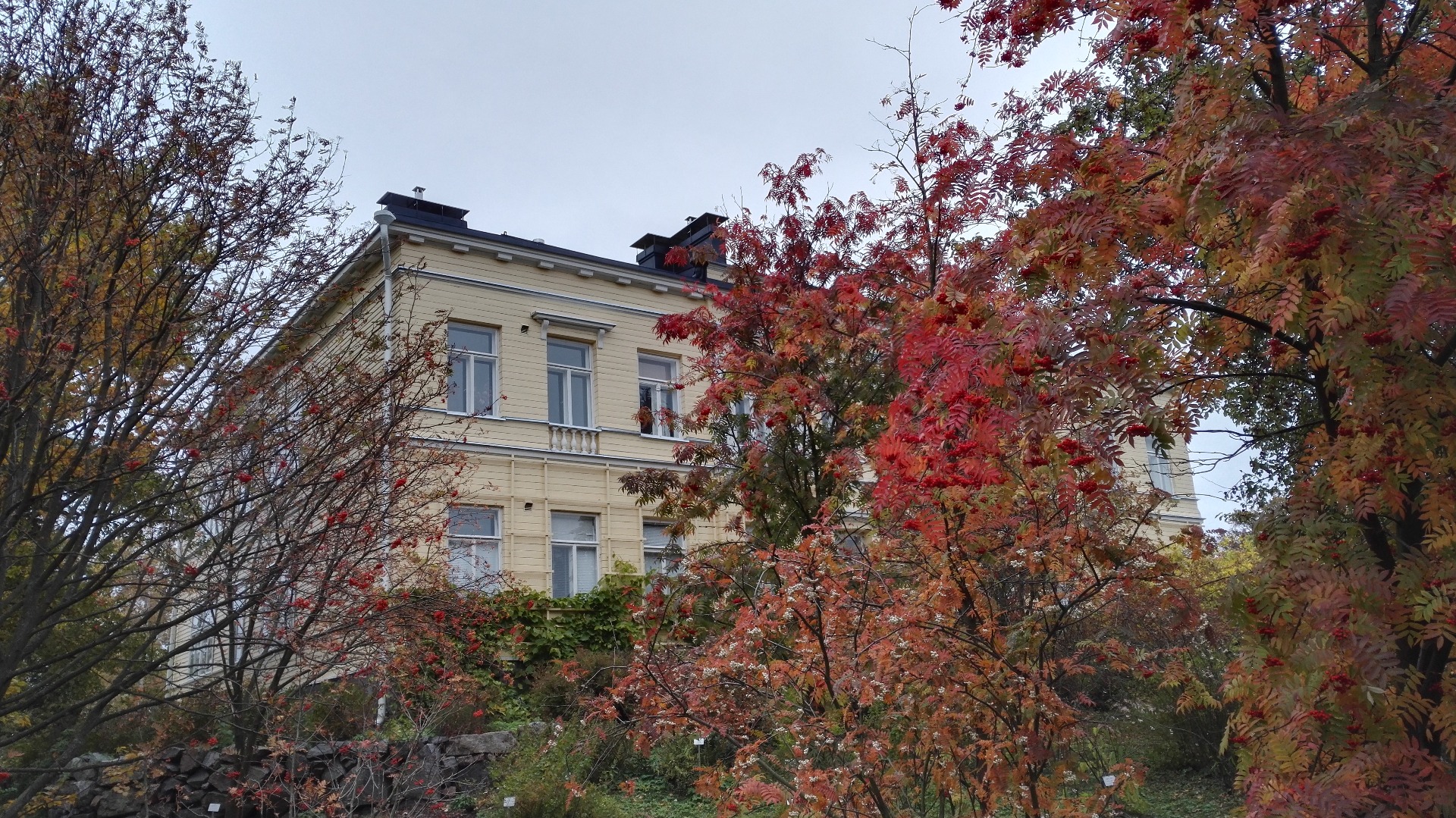 Kaisaniemi, Yliopiston kasvitieteellinen puutarha. rephoto