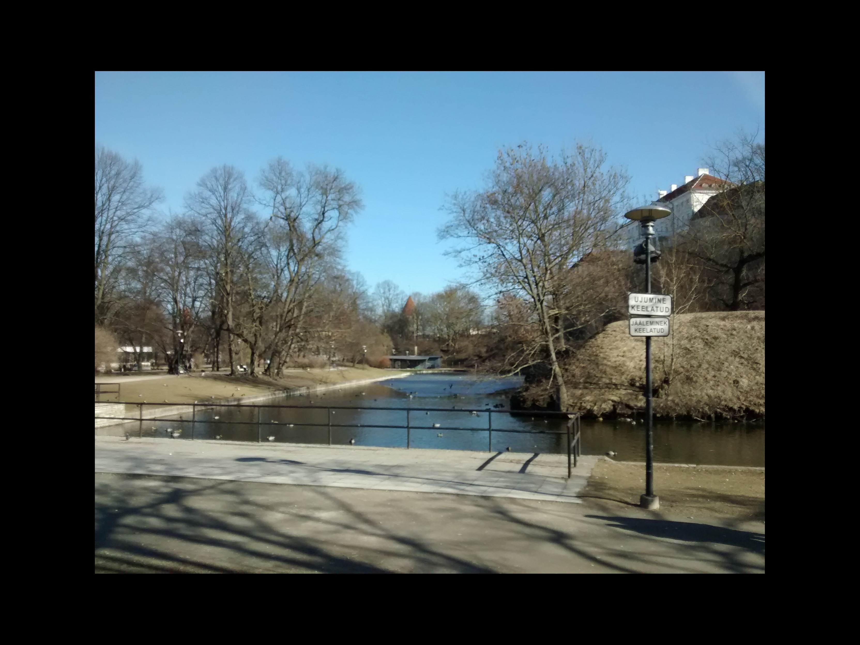 Šnelli tiik rephoto