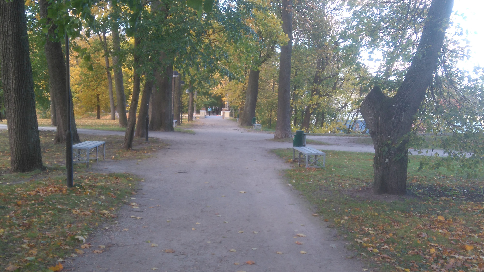 Vaade Toome poolt Inglisillale (suur allee) rephoto