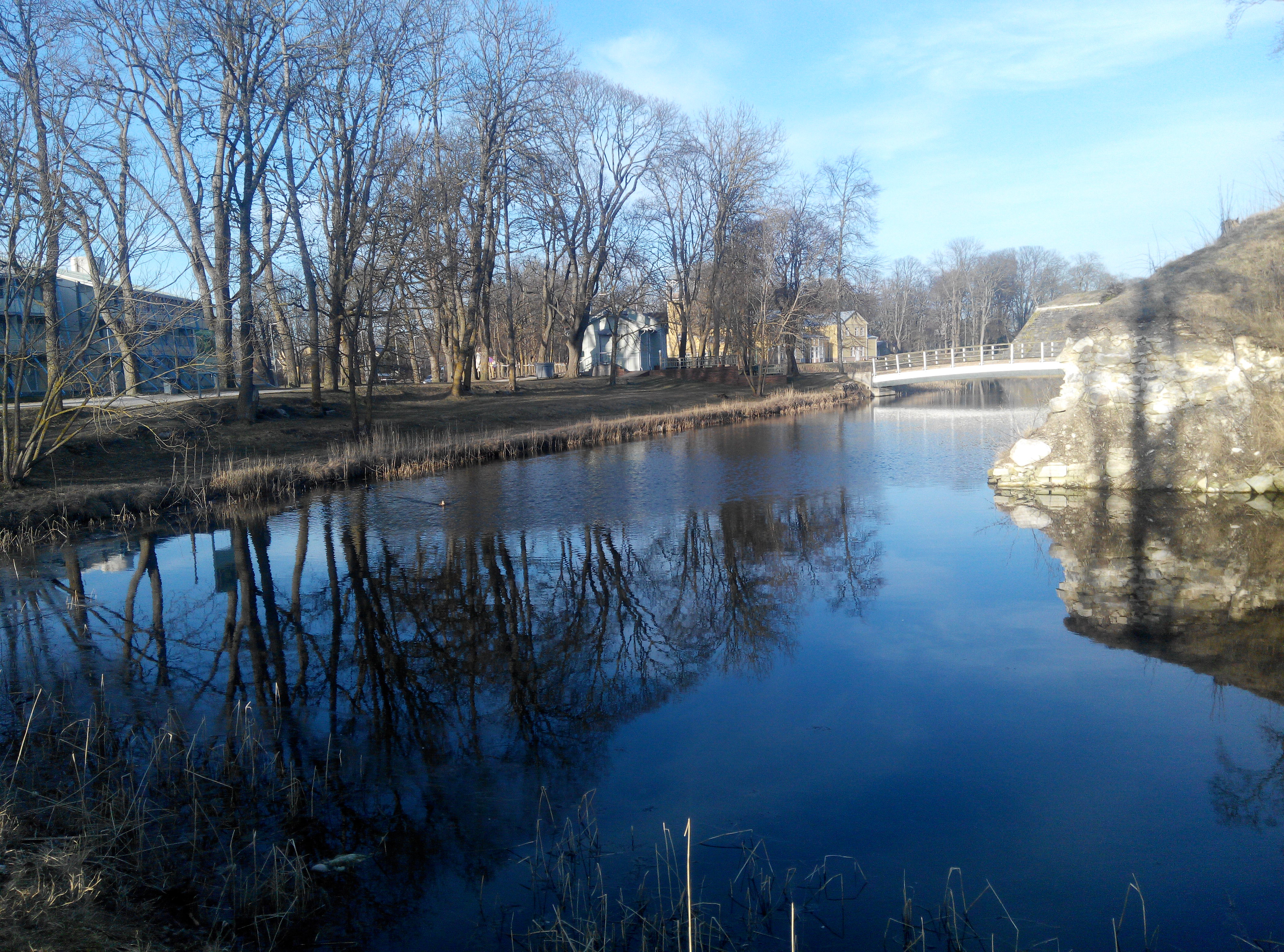 Kuressaare Lossipargi nn. parditiik rephoto