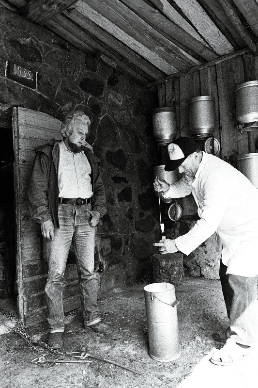 Pildid Päivila talust (peremees Kalev Kann).