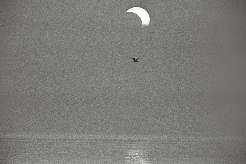 Päikesevarjutuse jälgimine Leppneemes, kui päike nähtavale tuli.