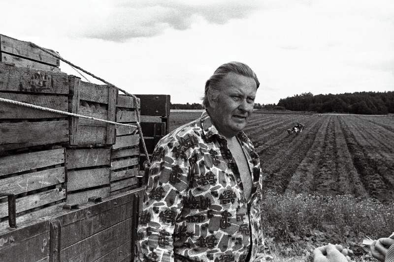 Vili valmib ka talu põldudel. Märdi talu rentnik Svido Siilak.