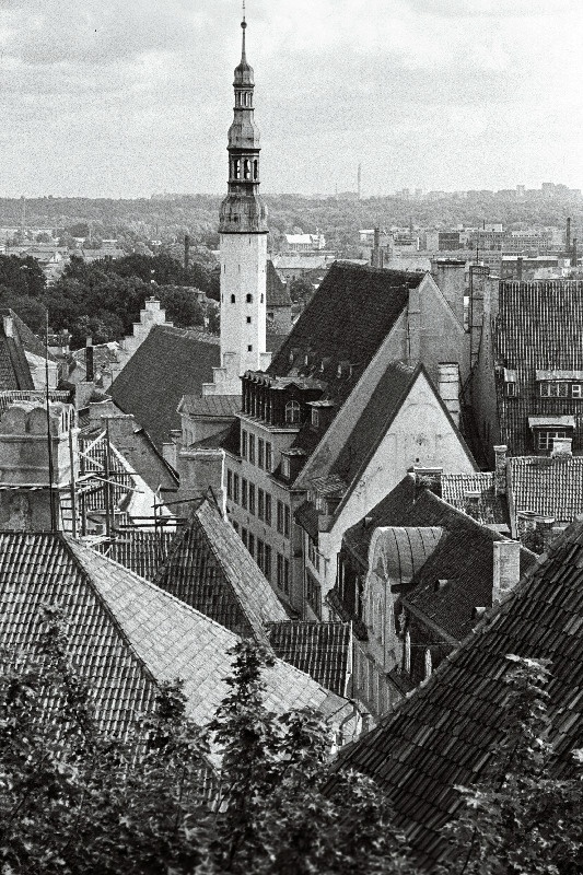 Vanalinn, katused (pildistatud ülevalt Pühavaimu kiriku tornis).