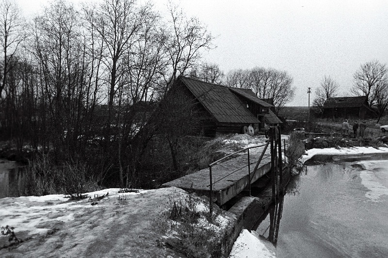 Sellest veskist saab head tangu.