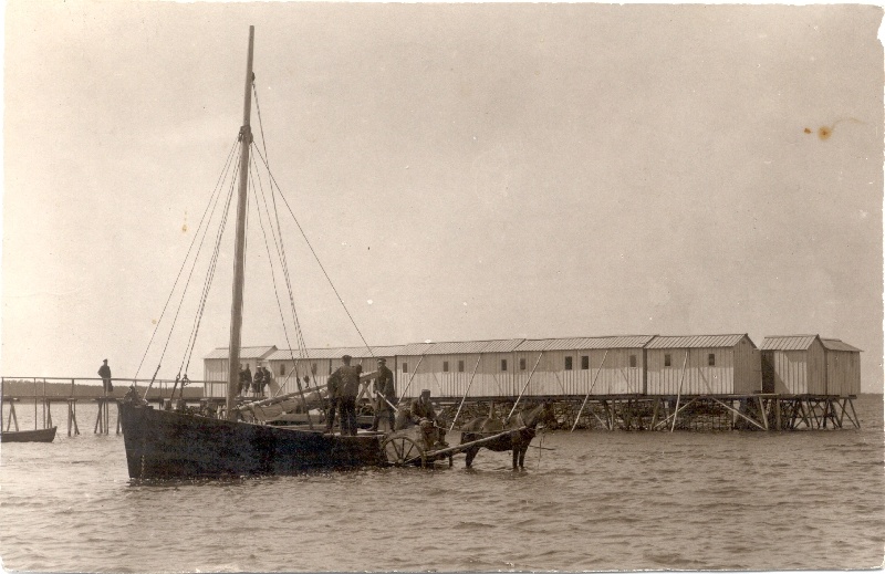 Foto. Muda laadimine pargaselt hobuvankrile madalas Haapsalu Eeslahes. Tagaplaanil supelmajad. 1930. aastad.