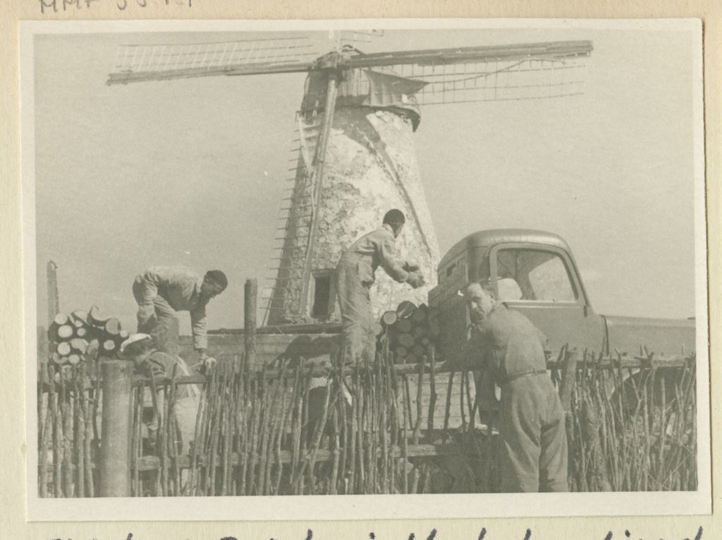 TPI-le küttepuude varumine, puude laadimine veoautosse, taamal tuuleveski