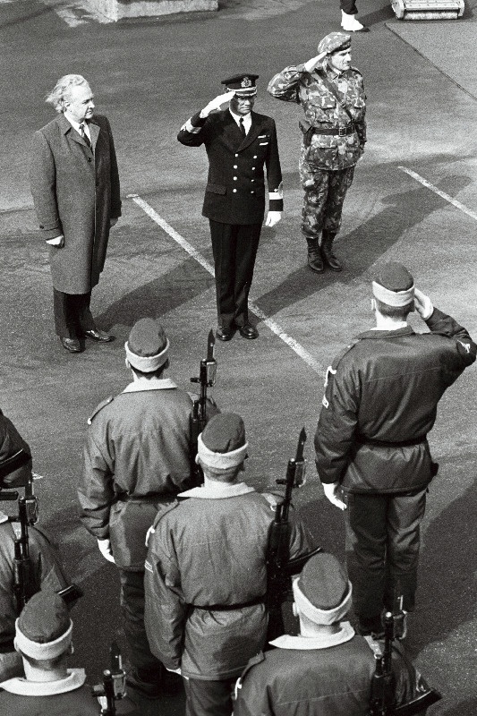 Carl XVI Gustav ja Ants Laaneots annavad  au Eesti kaitsejõudude aukompaniile.