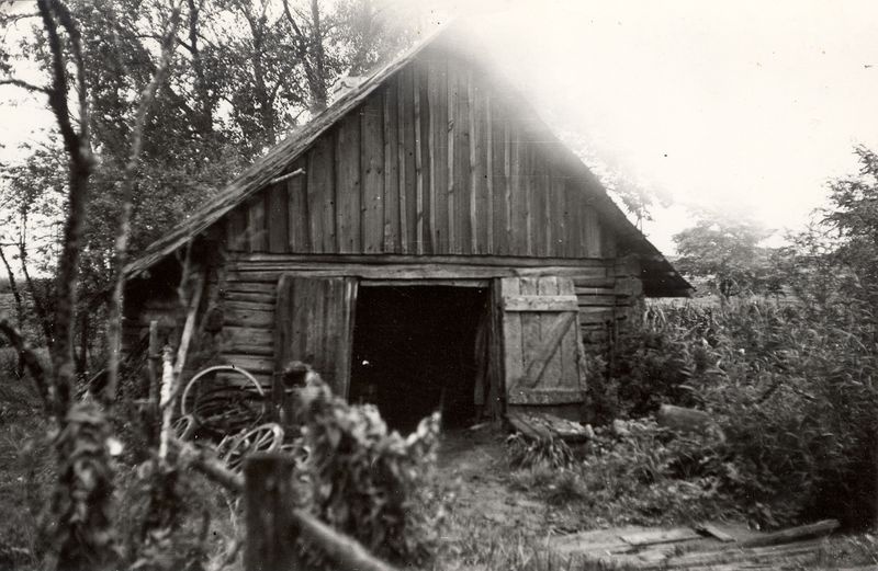 Foto. Sepikoda
