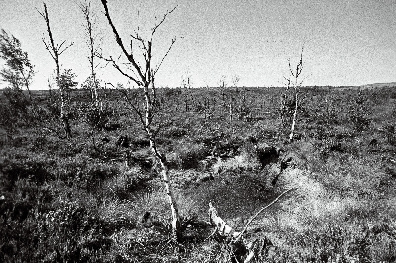 Aegviidu polügonil.