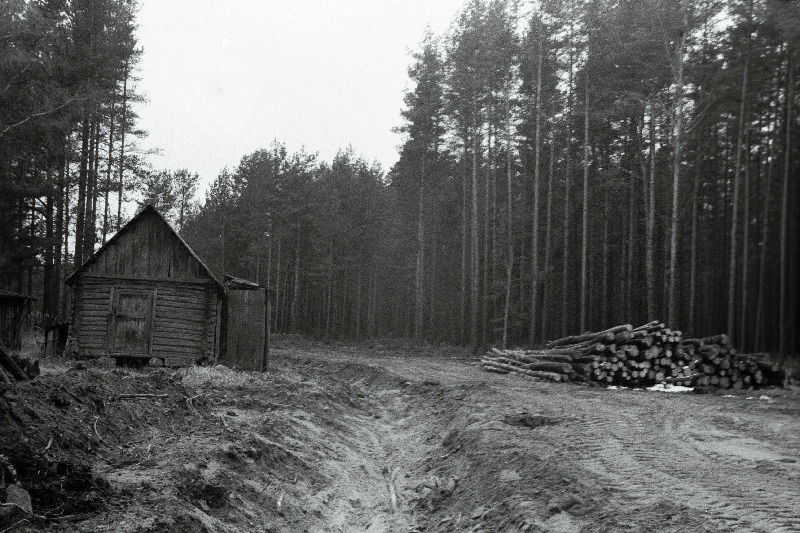 Perdaku küla Kõomäe talu maid poolitab Eesti-Vene kontrolljoon.