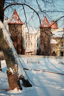 Vaade Musumäelt Viru väravatele.  similar photo