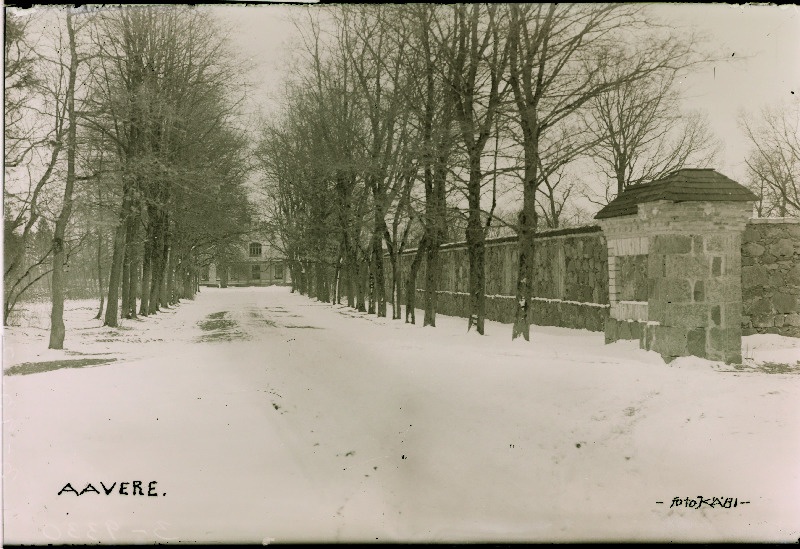 Aavere mõisa allee.